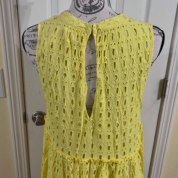 Lilly Pulitzer Indira Eyelet Swing Mini Dress - Picture 8 of 11